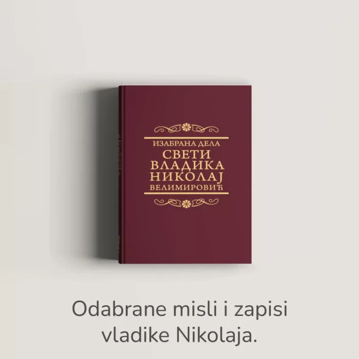 P Nikolaj