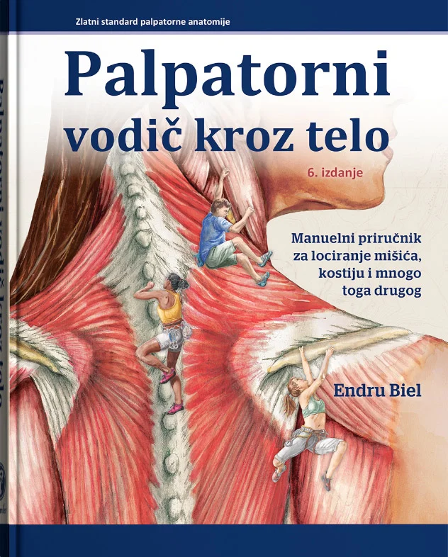 Palpatorni Vodič Baner
